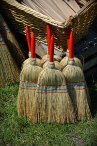 A picture of several brooms upright on a patch of grass. 